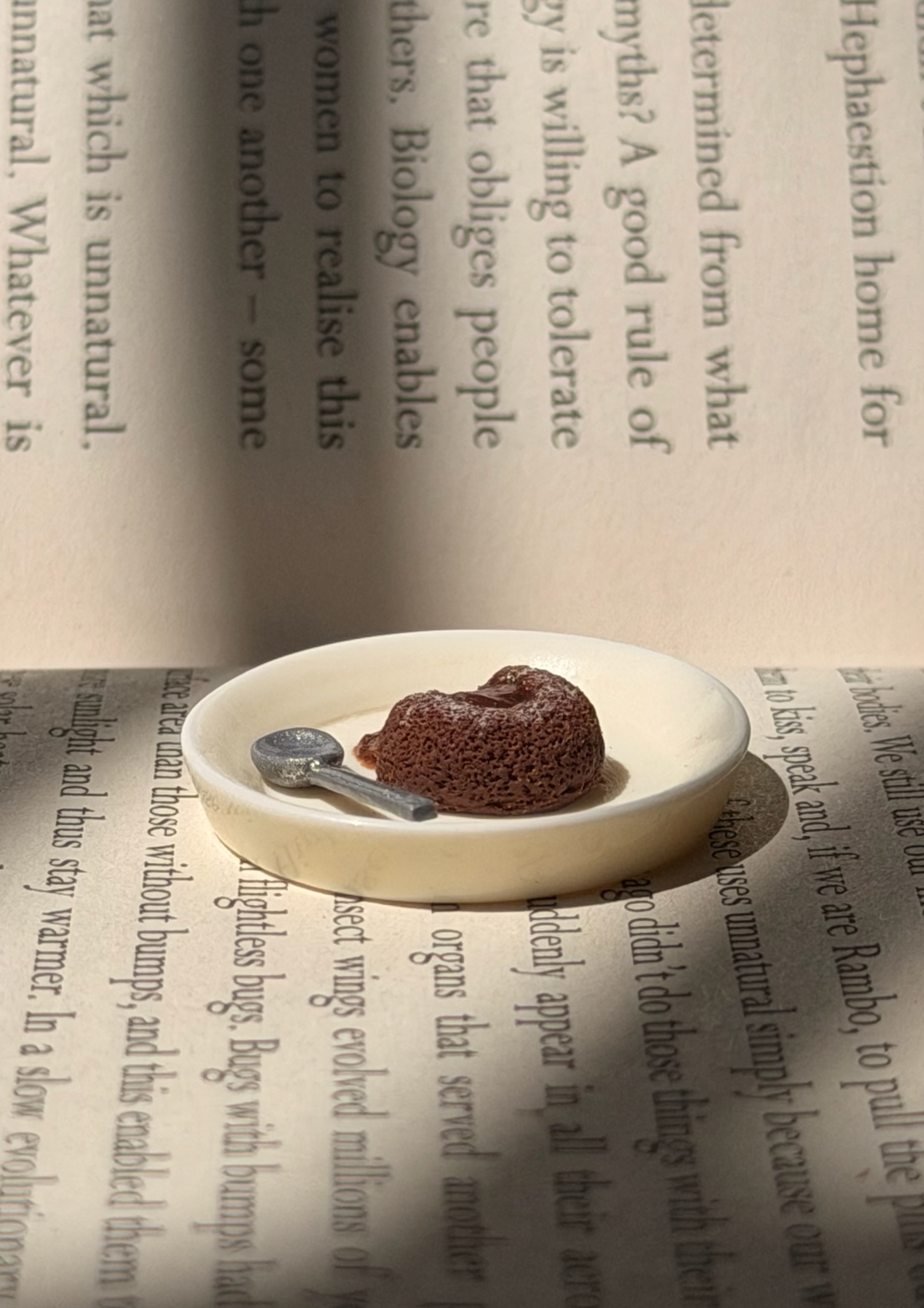 Molten Lava Cake 