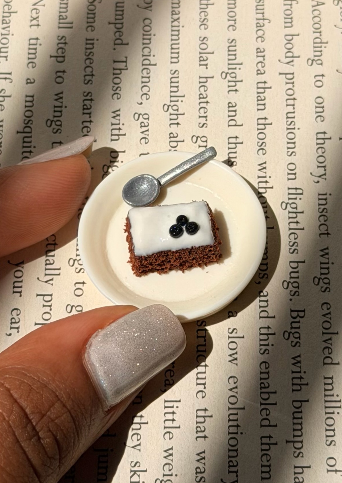 Chocolate Sponge & Icing Slice Miniature