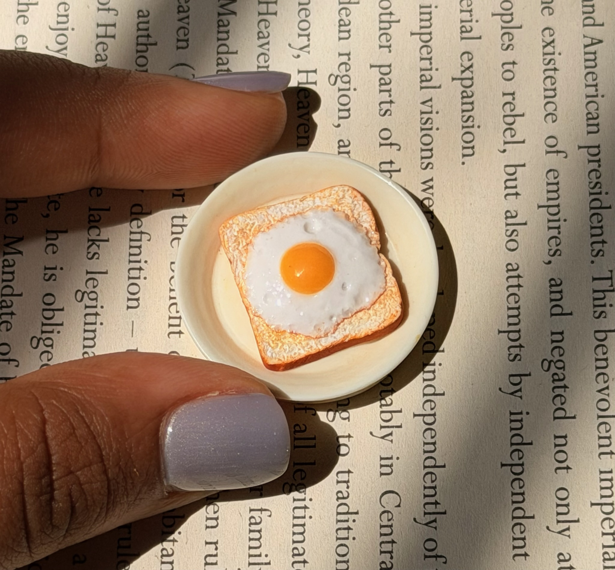 Miniature Sunny Side Up Toast Workshop image 1